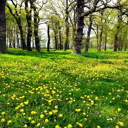 Haus Seeblick Maritim Am Schwarzen Busch